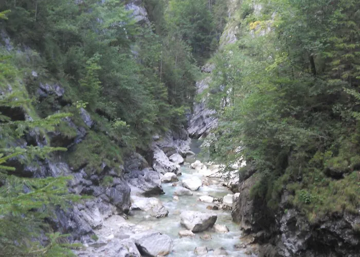 Landgasthof Pfarrwirt 3* 티어제