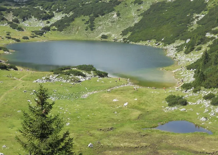 Landgasthof Pfarrwirt 호텔 3*